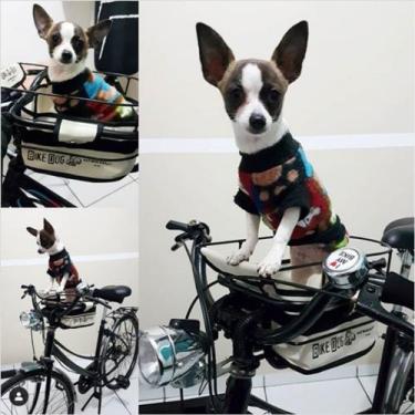 Imagem de Cestinha Cadeirinha Bike Dog Para Cachorro Transporte Seu Cão Na Bike