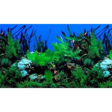 Imagem de Painel Para Aquário Fundo Azul E Plantas 30Cm X 100Cm Pp-081