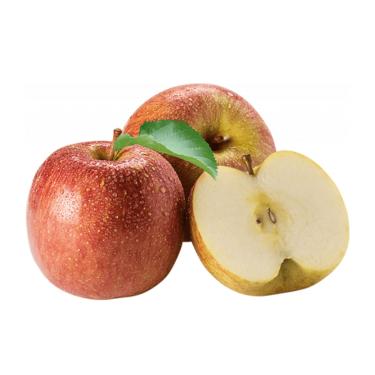 Imagem de Muda de Maçã Fuji Enxertada - Rápida Produção - Produz em Vasos