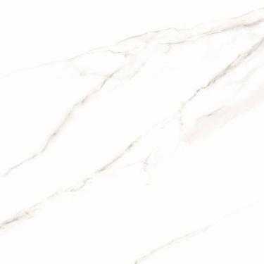 Imagem de Piso Cecafi Fenit Plus Retificado 61x61 A