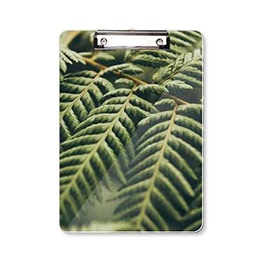 Imagem de Folhas para fotografia de plantas imagem natureza prancheta pasta placa de apoio A4