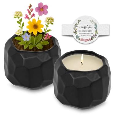 Imagem de The Growing Candle, Apple & Pine Scented, pote de cerâmica de 370 ml, velas de aromaterapia, 100% soja para mulheres e homens, Emma