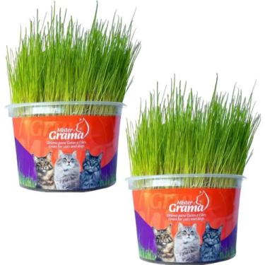 Imagem de Kit 2un Graminha para Gatos - Mister Grama - GRUPO MISTER