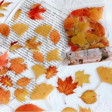 Imagem de 40 peças de adesivos de folha de outono, decalques decorativos de PET para agendamento, álbuns de fotos, artesanato DIY, adesivos temáticos de outono
