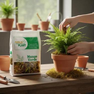 Imagem de Musgo Verde Orquídeas Artesanato Plantas Arranjos 10 litros - Gold Pla