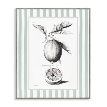 Imagem de Stupell Industries Design de arte giclée emoldurado cinza com borda listrada de limão vintage por Lettered and Lined, 76 x 61 cm