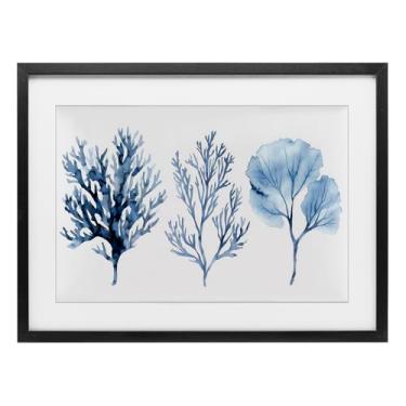 Imagem de Stupell Industries Blue Coral Types Trio Impressão emoldurada preta sob vidro, design por LSR Design Studio, 17 x 23