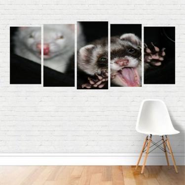 Imagem de Quadro Animais Estimação Furões Domésticos Mustelídeo Canvas