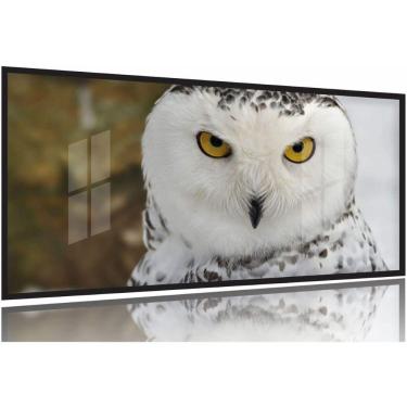 Imagem de Quadros Decorativos Coruja Branca 130x60 Moldura Preta 2x2