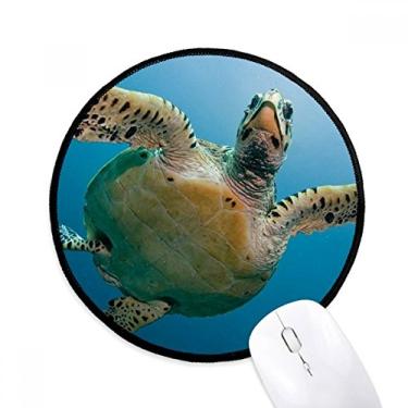 Imagem de Tapete de mouse azul oceano tartaruga ciência natureza imagem tapete redondo escritório para computador