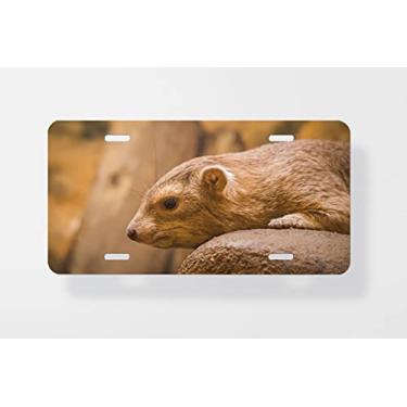 Imagem de Capa para placa de licença Common Rock Hyrax Procavia Capensis Mamífero das Montanhas Africanas Namíbia – Capa para placa de carro – Capa para placa de carro 15 x 30 cm
