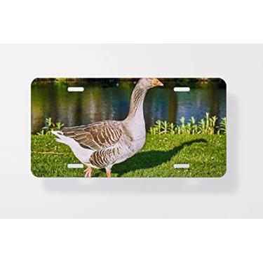 Imagem de Capa para placa de carro Walk Along The River – Capa para placa de carro – Capa para placa de carro 15 x 30 cm