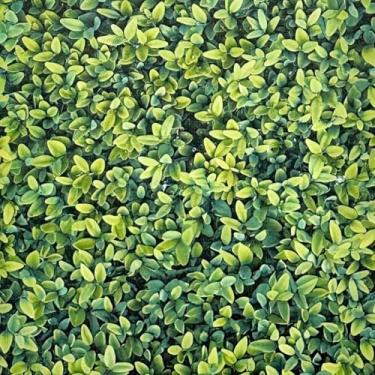 Imagem de Papel de Parede Adesivo Sala Quarto Ripas Madeira Clara Lisa Autocolante 5m x 45cm(Jardim Vertical)