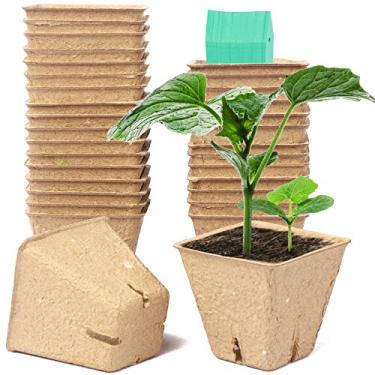 Imagem de Kit de 48 potes de turfa para iniciantes de sementes, bandeja de mudas de 6 cm para jardim quadrada biodegradável para germinação de sementes com 10 etiquetas de plantas