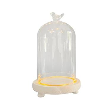 Imagem de Bothyi Cúpula de Cúpula de Vidro Transparente Tampa de Flores com Campânula Transparente com Base de Madeira Estojo para Exibição de Festa Recipiente DIY Cúp, 10x16cm pássaro