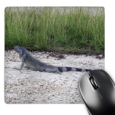 Imagem de 3dRose Mouse pad LLC 20 x 20 x 0,63 cm, Cayman Island Gargantuan Iguana (mp_34553_1)