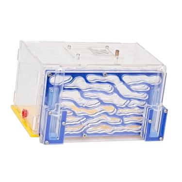 Imagem de Fenteer Caixa de exibição de brinquedos engraçados para oficinas de aprendizagem de de formigas, caixa de reprodução para presente, observação, Azul