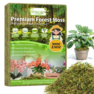 Imagem de Legigo Musgo verde real de 100 ml para artesanato, musgo decorativo natural de 4 litros para plantas em vasos, decoração floral de terrário, musgo de plantas secas para jardins de fadas artificiais