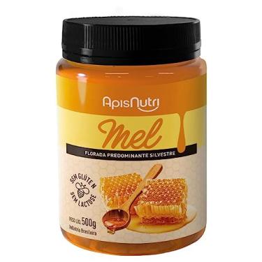 Imagem de Mel Silvestre Pote (500g) - Apisnutri, Apisnutri