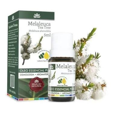Imagem de Óleo Essencial Melaleuca Tea Tree 100% Natural 5ml - Wnf - Congratulat