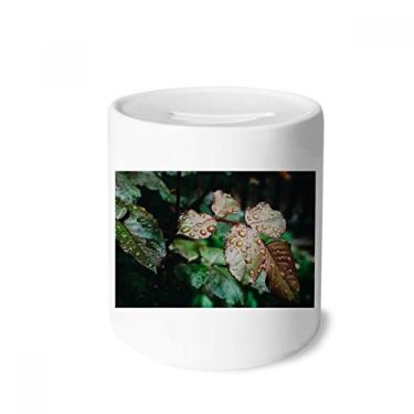 Imagem de DIYthinker Dewdrop Leaf Plant Nature Picture Caixa de dinheiro de cerâmica porta-moedas presente de cofrinho