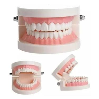 Imagem de Manequim Modelo Dentes Molde Dentário Dental Boca - MHR