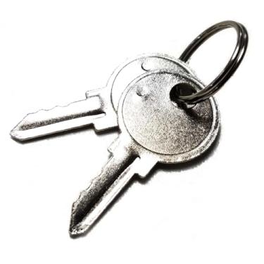 Imagem de (2) Chaves para uPunch, Acroprint, Allied Time, Lathem, Pirâmide e outros relógios de ponto (HN1000, HN2000, HN3000, HN4000, FN1000, ATR480, AT-4500, AT-2700, 400E, 2500, 26500, Pro, 38000 , 4500PP)