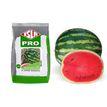 Imagem de 1.200 Semente De Melancia Crimson Sweet SUPER / 50 gramas / ISLA PRO