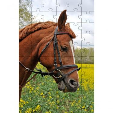 Imagem de Kit 2 Quebra-cabeça Inclusivos Beleza De Cavalos Em 60 Peças