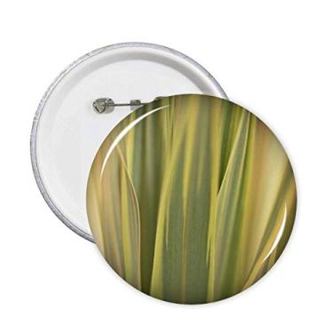 Imagem de Folhas de planta, imagem natural, alfinetes de foto, emblema, botão, decoração, acessório, 5 peças