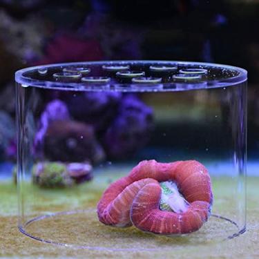 Imagem de Alimentador de Peixes Aquário Acrílico Tanque de Peixes, Tampa Transparente Acrílica do Alimentador de Coral, Camarão Anti-Alimentação, Anel de Alimentação de Peixes, para Tanque