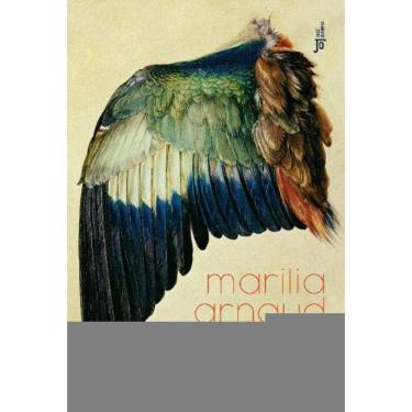 Imagem de o Pássaro Secreto