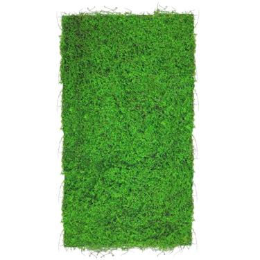 Imagem de Placa Jardim Vertical Musgo (50x100) Verde SMO