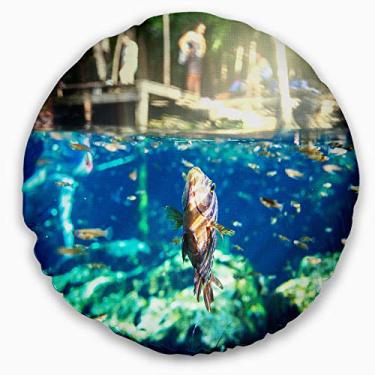 Imagem de Designart Manta de parede com paisagem de peixe grande em Ik Kil Cenote México para sala de estar, sofá, enchimento de almofada + capa de almofada impressa em ambos os lados 50,8 cm