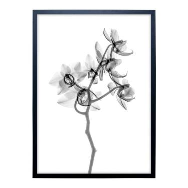 Imagem de Quadro Clássico Floral Raio-X II com Vidro Preto e Branco 50x70 cm