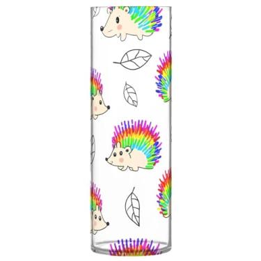 Imagem de CEBUGI Vaso de flor de ouriço arco-íris 10 x 30 cm, vaso cilíndrico para flores, vaso transparente inquebrável para decoração de casa de festa de casamento