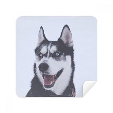 Imagem de Big Dog Snow Husky Óculos de limpeza de tela de tecido de camurça pacote com 2