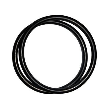 Imagem de R172009 O-Ring para Pentair modelo 300/320 Tampa de cloro de piscina e spa (pacote com 2)