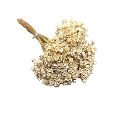 Imagem de Buquê Flores Sempre Viva Desidratadas Florzinhas Secas Maço com 600 Fl