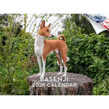 Imagem de Calendário Basenji 2024 2025 - Calendário de parede mensal de raça de cachorro - 30,5 x 45,7 cm aberto - Papel grosso sem derramamento - Presente - Calendário de planejamento de professores