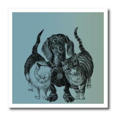 Imagem de 3dRose ht_108943_1 Best Buddies Dog with Two Cats Trio-Pets and Animals-Iron On Heat Transfer 20 x 20 cm, para material branco