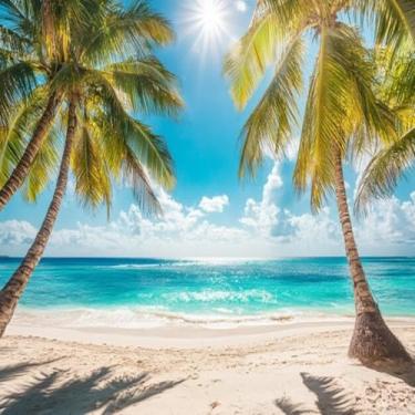 Imagem de Pistao Kit C/Anel Kmp Dyamond Cb 250F Twister 2016/2022 - Crf 250F 2019/1.00