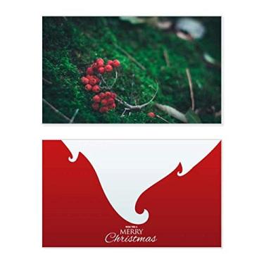 Imagem de Frutas vermelhas Florestais Ciência Cenário Natureza Feriado Feliz Natal Cartão de parabéns Mensagem de Natal