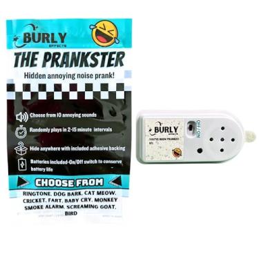 Imagem de Burly Effects Hidden Noise Maker Gag Prank - 10 Sons Diferentes - Toque, Cachorro, Gato, Grilo, Peido, Choro De Bebê, Alarme De Fumaça, Macaco, Cabra Gritando, Pássaro (1 Pacote)