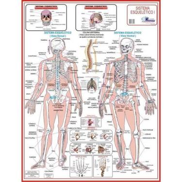 Imagem de Mapa Corpo Humano Sistema Esqueletico 1 - 120 X 90cm Gigante - MULTIMA