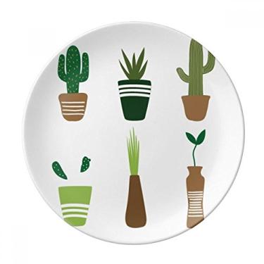 Imagem de Prato de suculentas de plantas em vaso de cacto decorativo de porcelana Salver louças de jantar