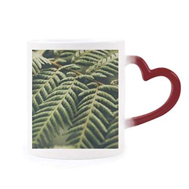 Imagem de Caneca com foto de plantas de folhas sensível ao calor natureza Caneca vermelha muda de cor