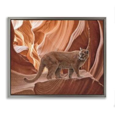 Imagem de Stupell Industries Cougar Canyon View Gray Framed Floater Canvas Wall Art Design por Collin Bogle, 25 x 31