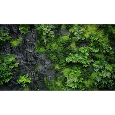 Imagem de Textura de parede de rocha fundo de aquário musgo verde na parede de pedra preta fundo de tanque de peixes natureza musgo samambaia verde réptil fundo de tanque textura rocha réptil habitat terrário