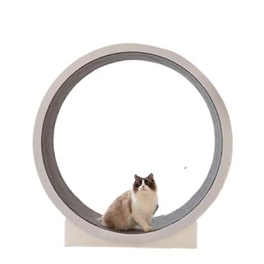 Imagem de Esteira para exercícios para gatos, rolo grande para perder peso, multifuncional, silenciosa, roda para corrida, kit de treinamento para banheiro